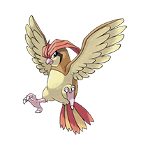 pokemon